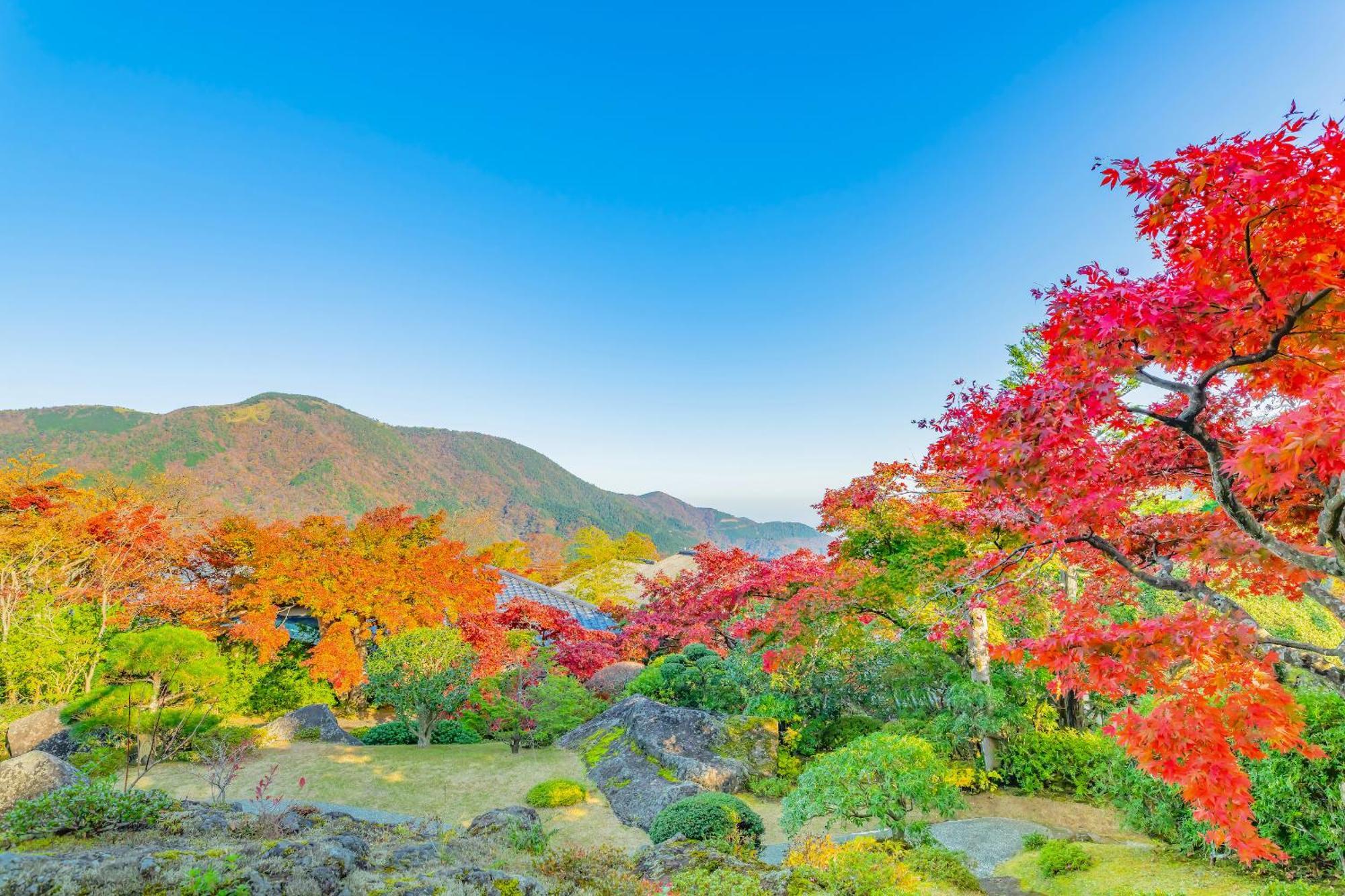 Oku Yugawara Sansuirou Hotel Buitenkant foto