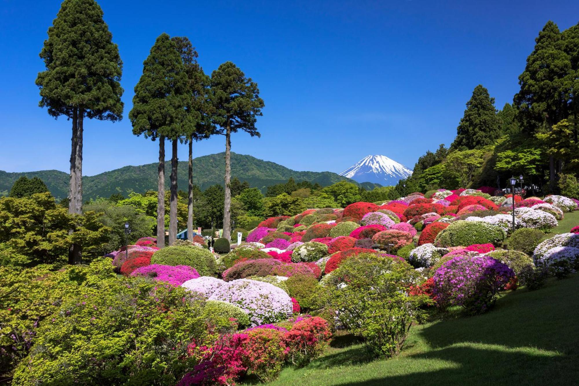 Oku Yugawara Sansuirou Hotel Buitenkant foto